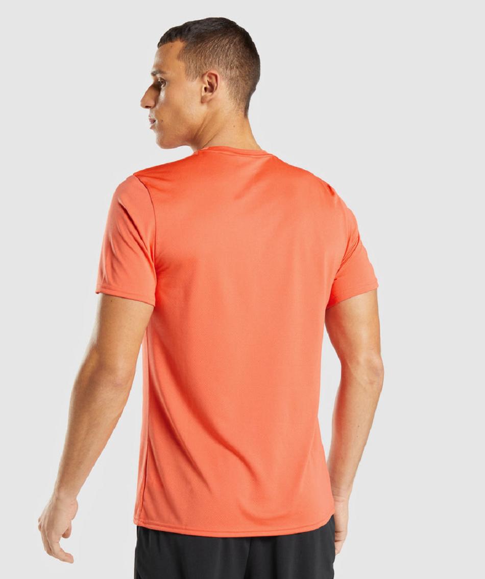 T Shirts Gymshark Arrival Hombre Naranjas | CO 3389VRW